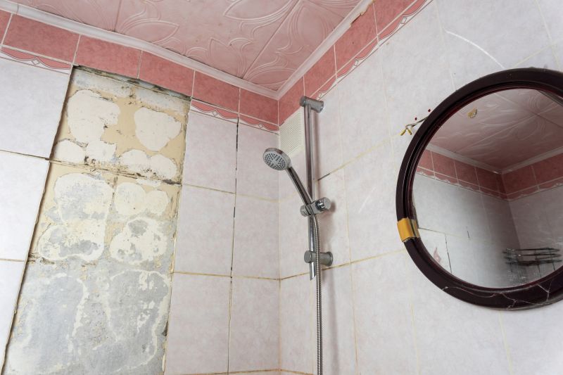 Top Shower Remodeling Companies in Saline, MI